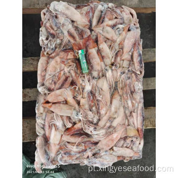 Todo o mar redondo Frozen Squid Todarodes Pacificus 150-200G